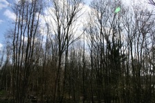 CenterParcPicardie1